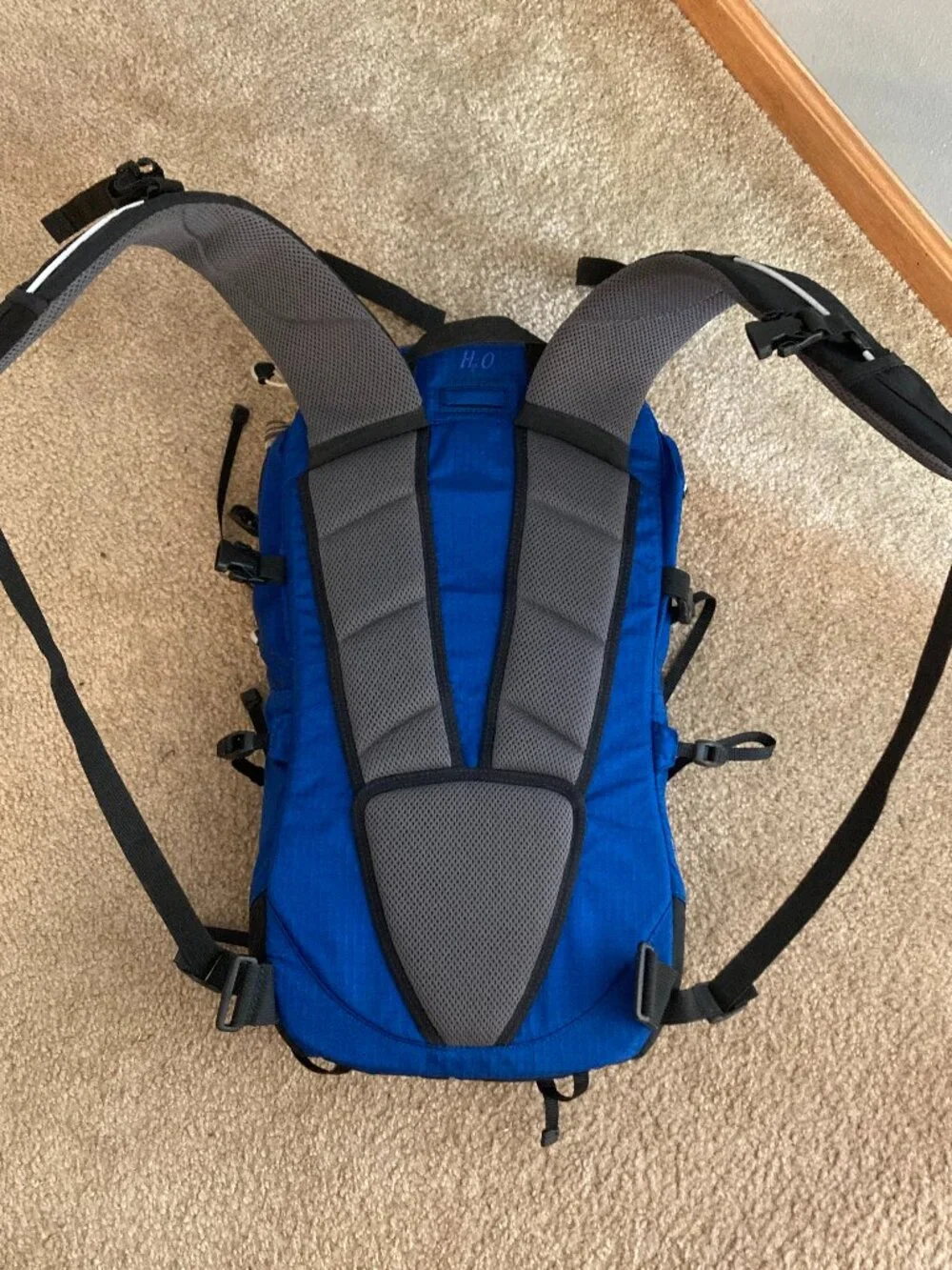Vintage Jansport Large Hiking Backpack Blitz 20 Technical Backcountry H2O